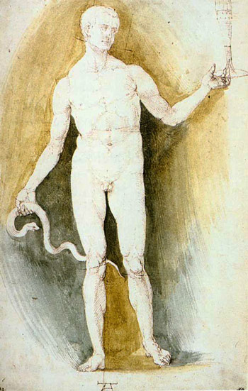 Albrecht Dürer: Male with a Glass and Snake
