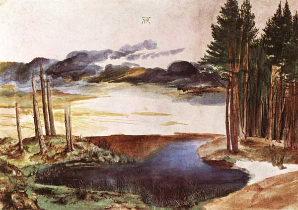 Albrecht Dürer: Pond in the Woods